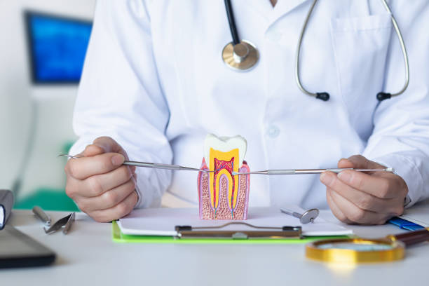 Best Orthodontic Emergency Dentist in Oakwood Hls, IL